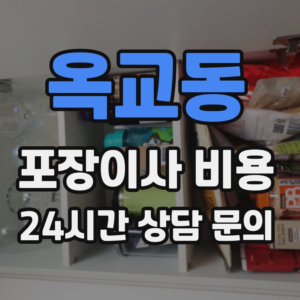 옥교동 포장이사 비용 냉동식품이 많을 때 이사 당일 대처