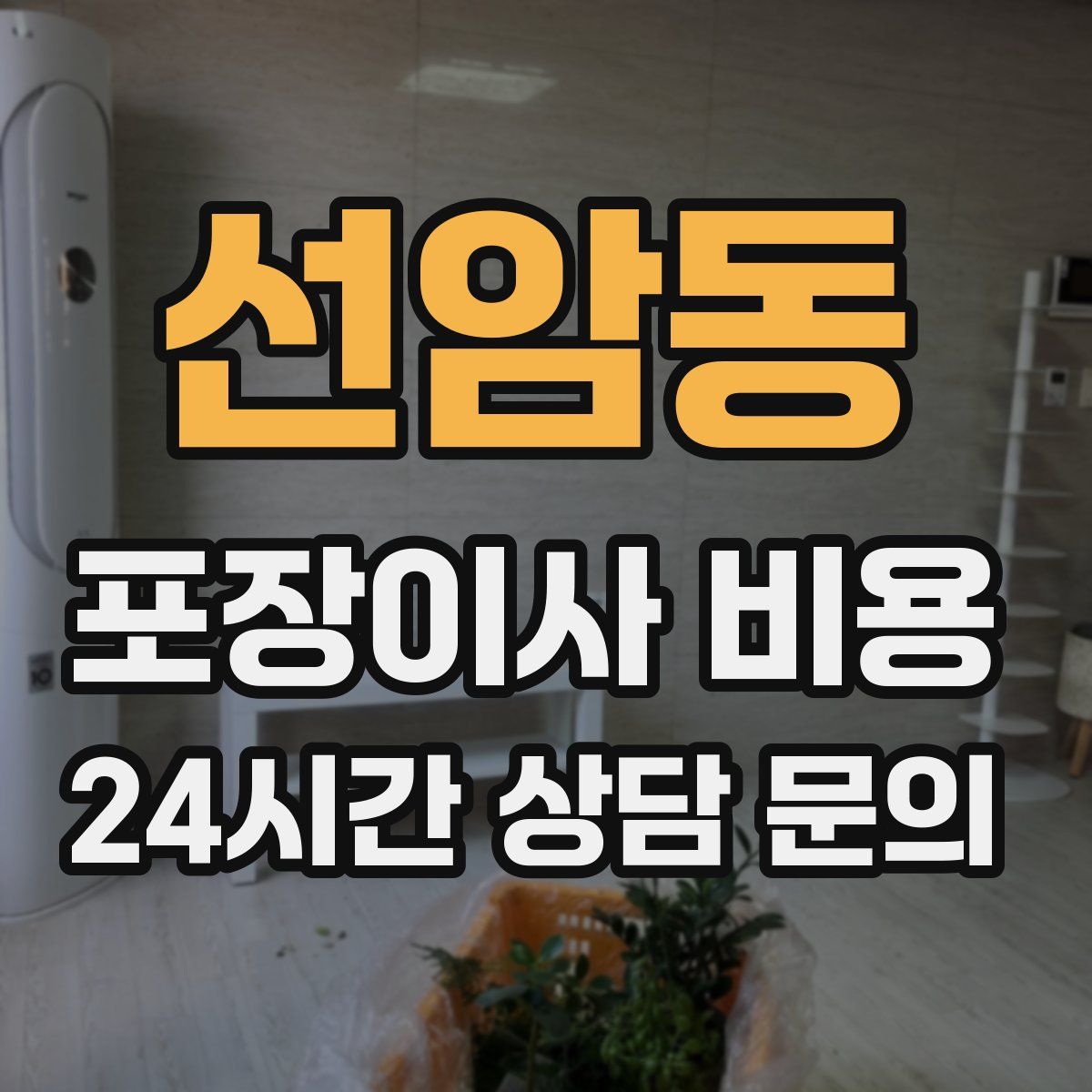 선암동 포장이사 비용