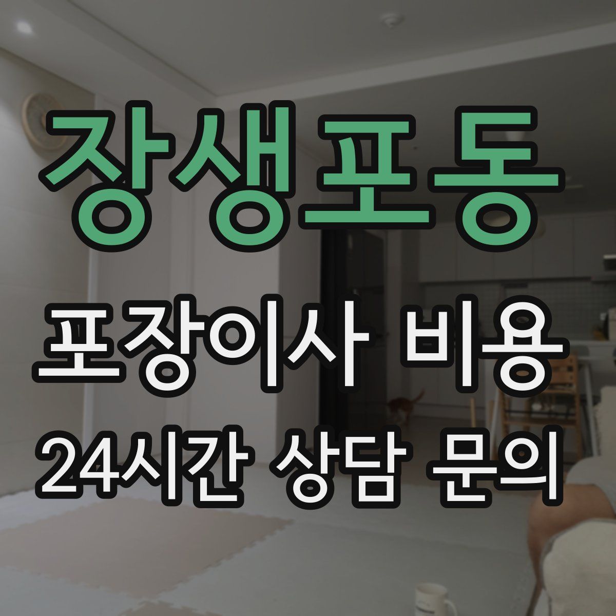 장생포동 포장이사 비용