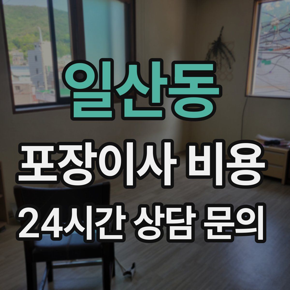 일산동 포장이사 비용