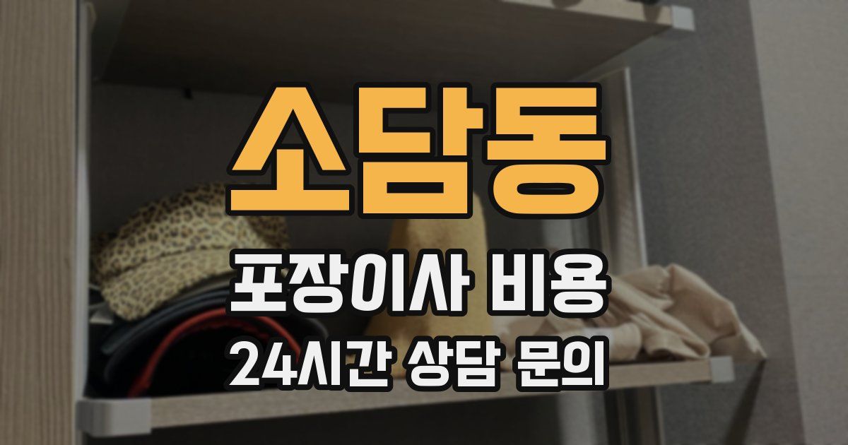 소담동 포장이사 비용