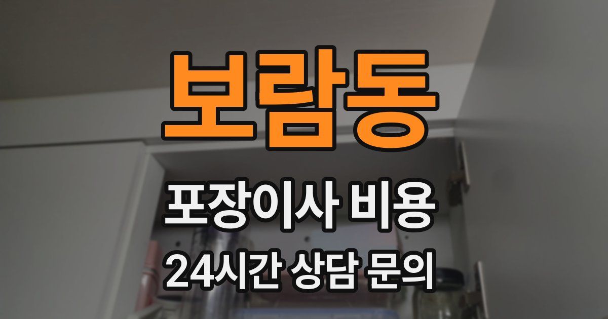 보람동 포장이사 비용