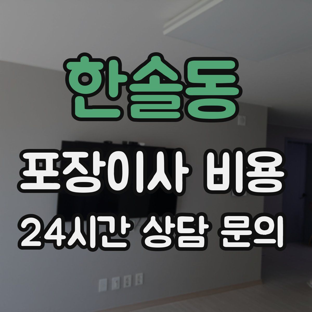 한솔동 포장이사 비용