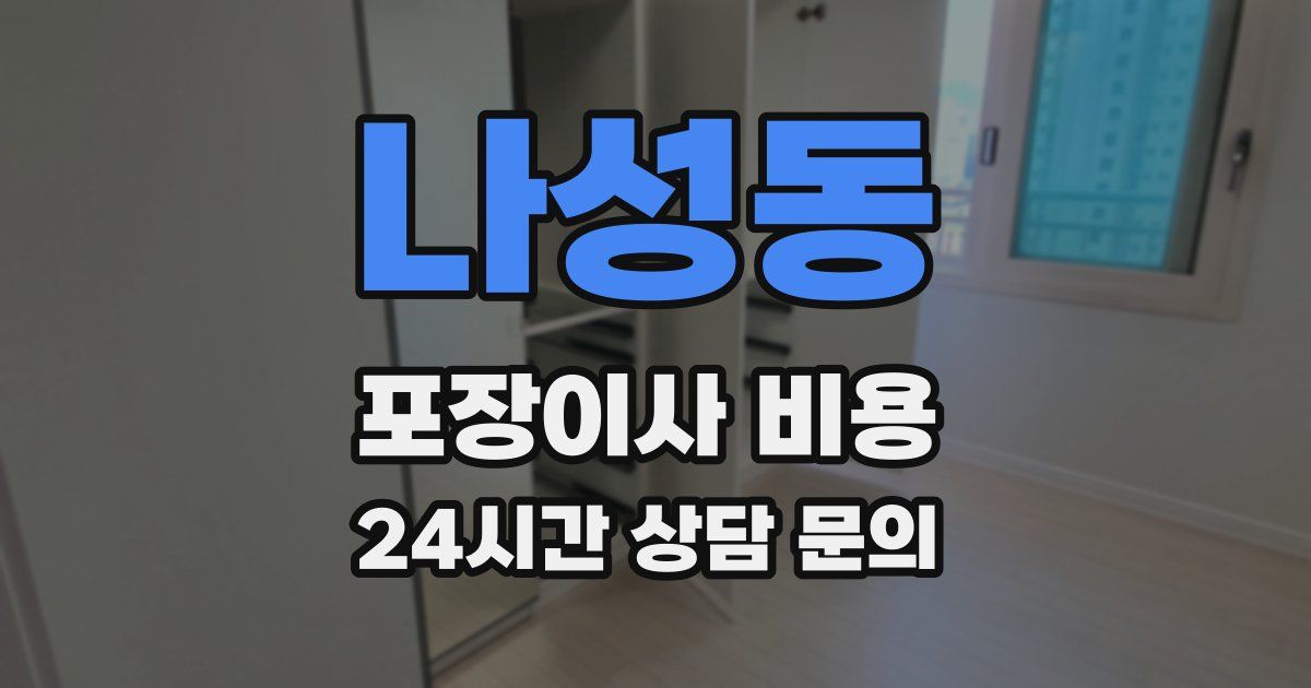 나성동 포장이사 비용