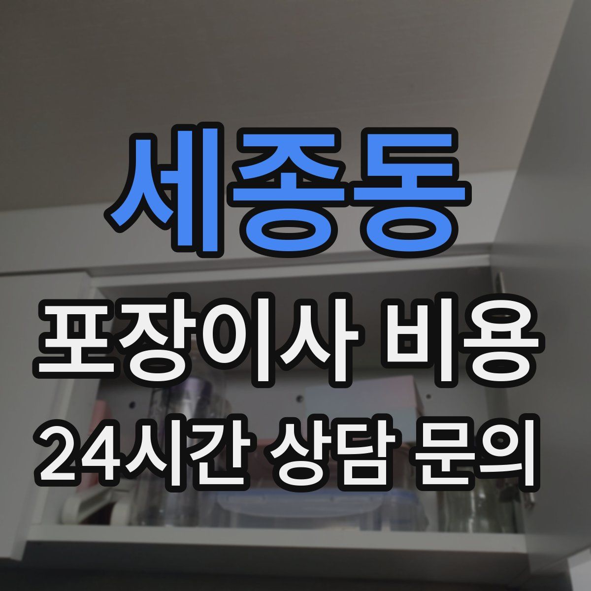 세종동 포장이사 비용