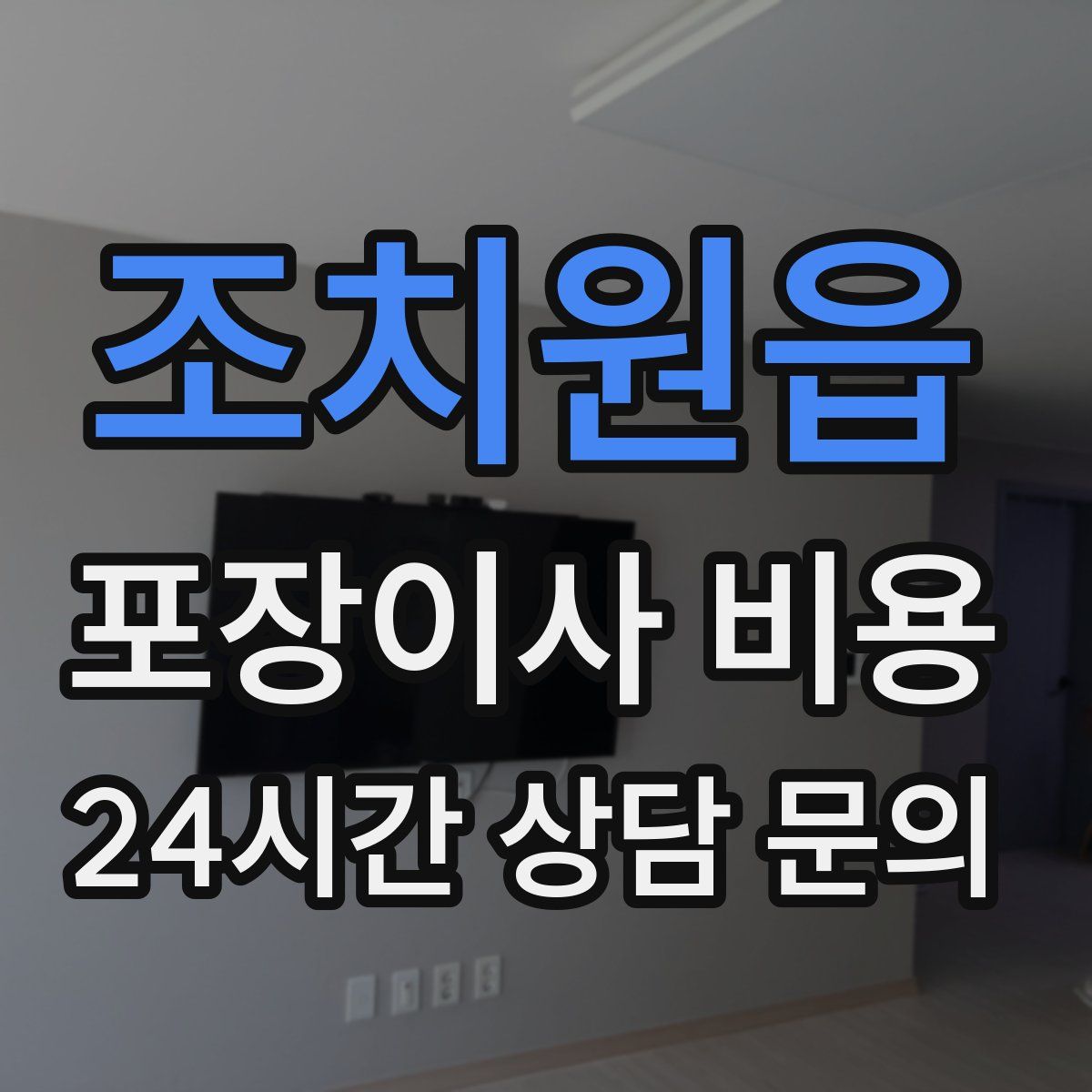 조치원읍 포장이사 비용