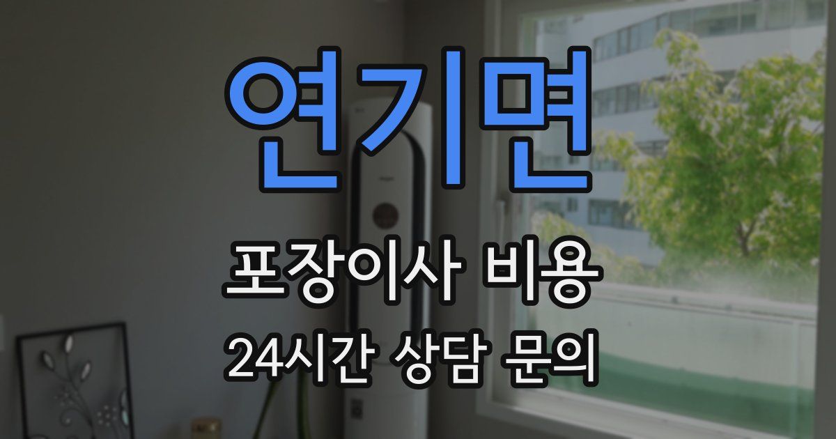 연기면 포장이사 비용