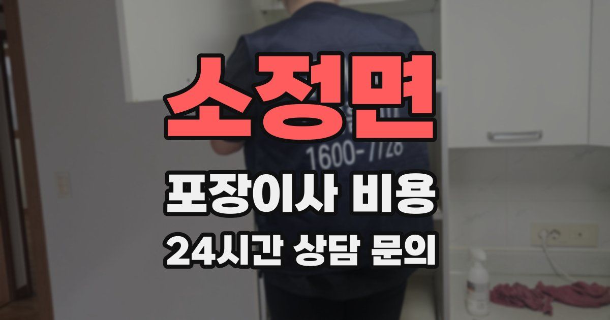 소정면 포장이사 비용
