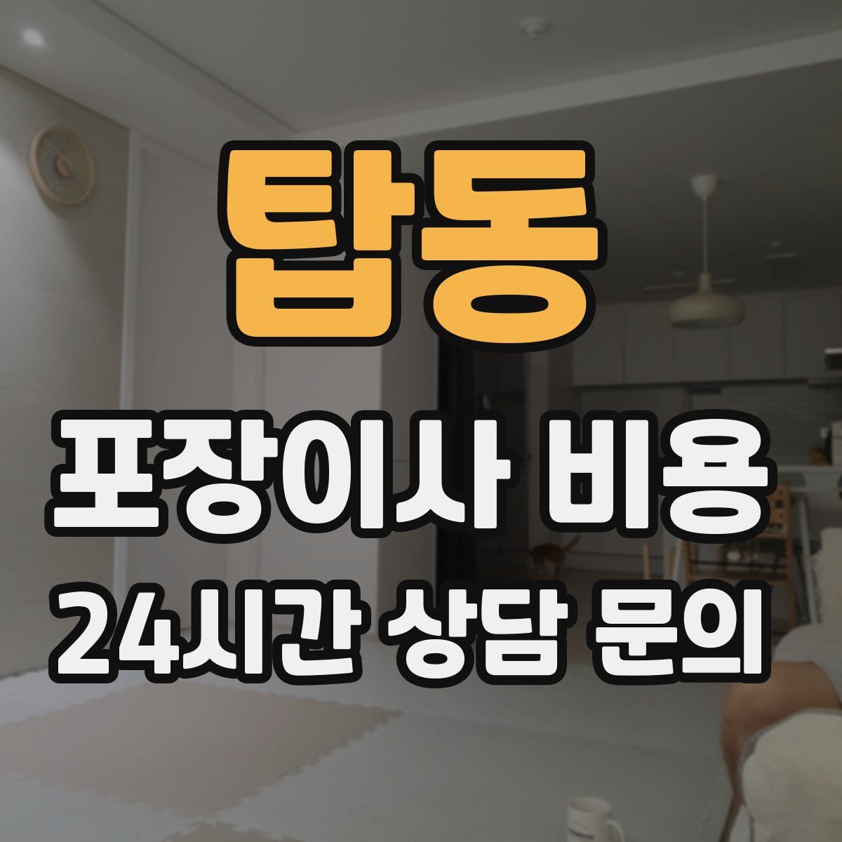 탑동 포장이사 비용