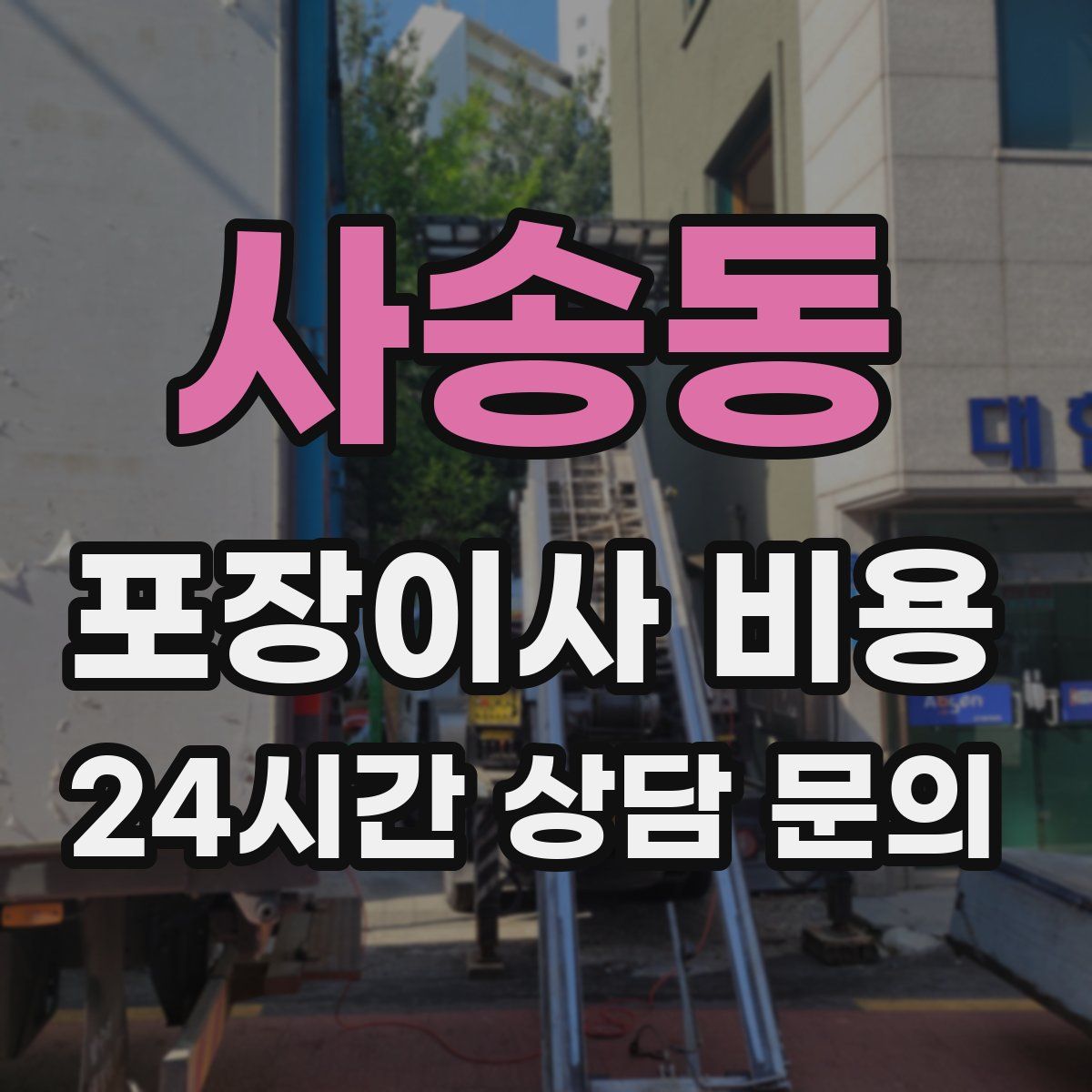 사송동 포장이사 비용