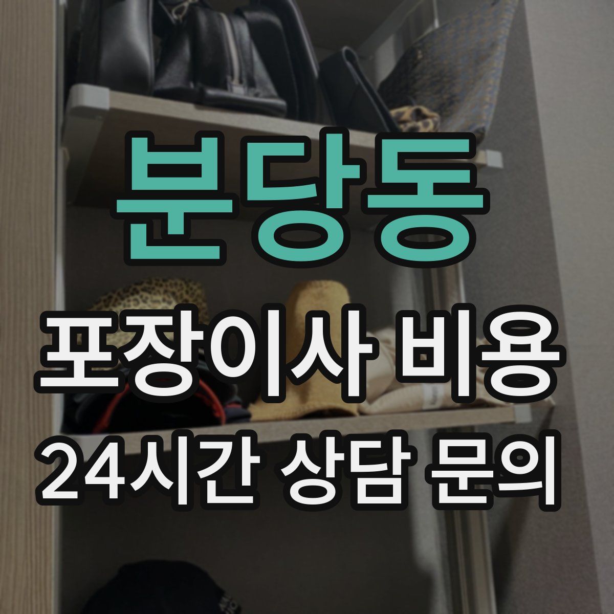 분당동 포장이사 비용