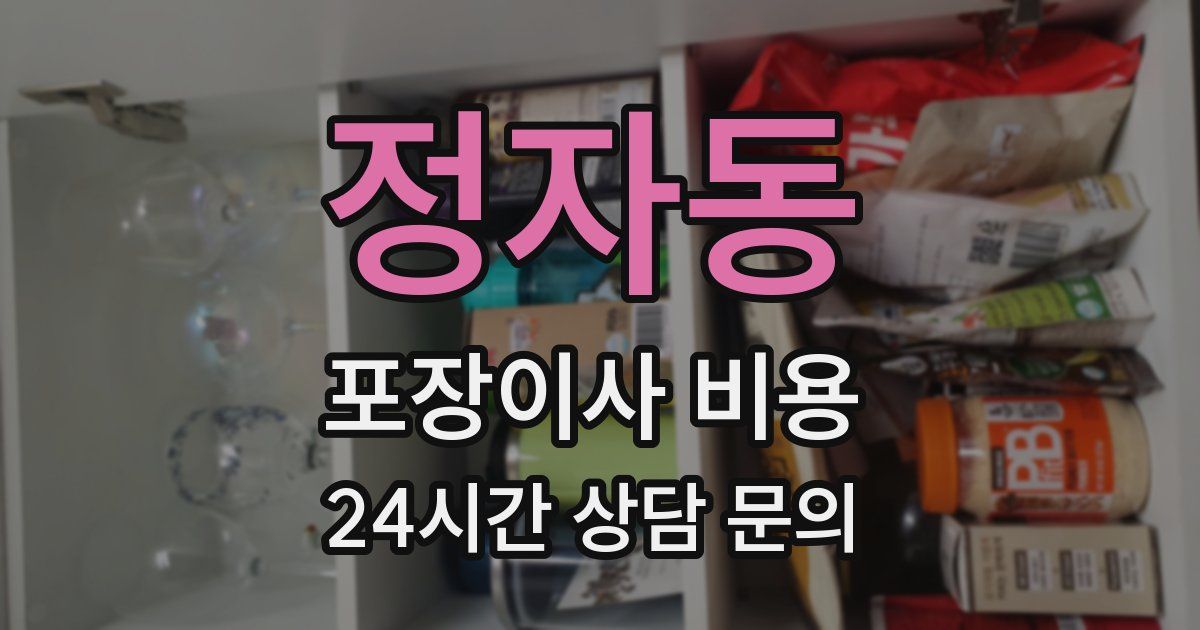 정자동 포장이사 비용