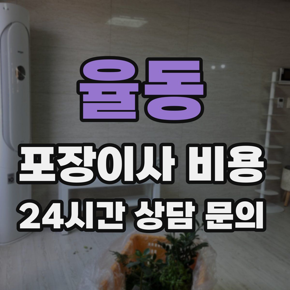율동 포장이사 비용