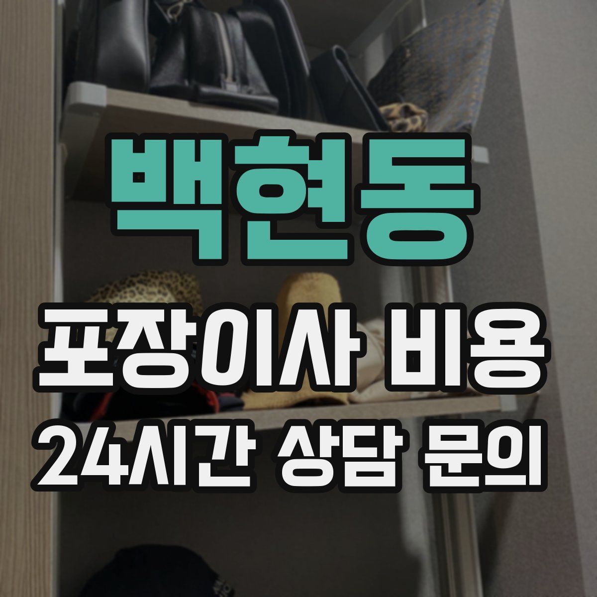 백현동 포장이사 비용
