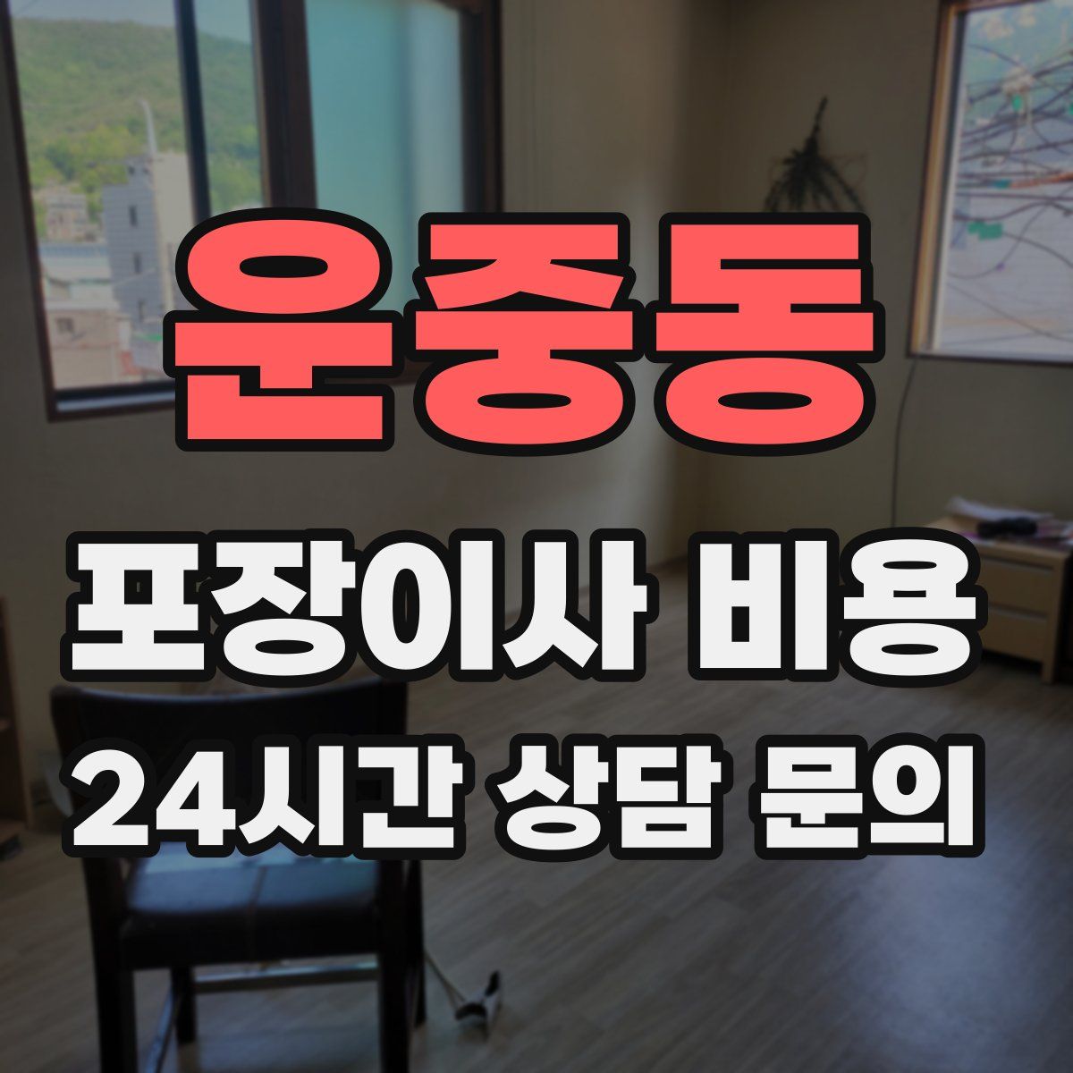 운중동 포장이사 비용