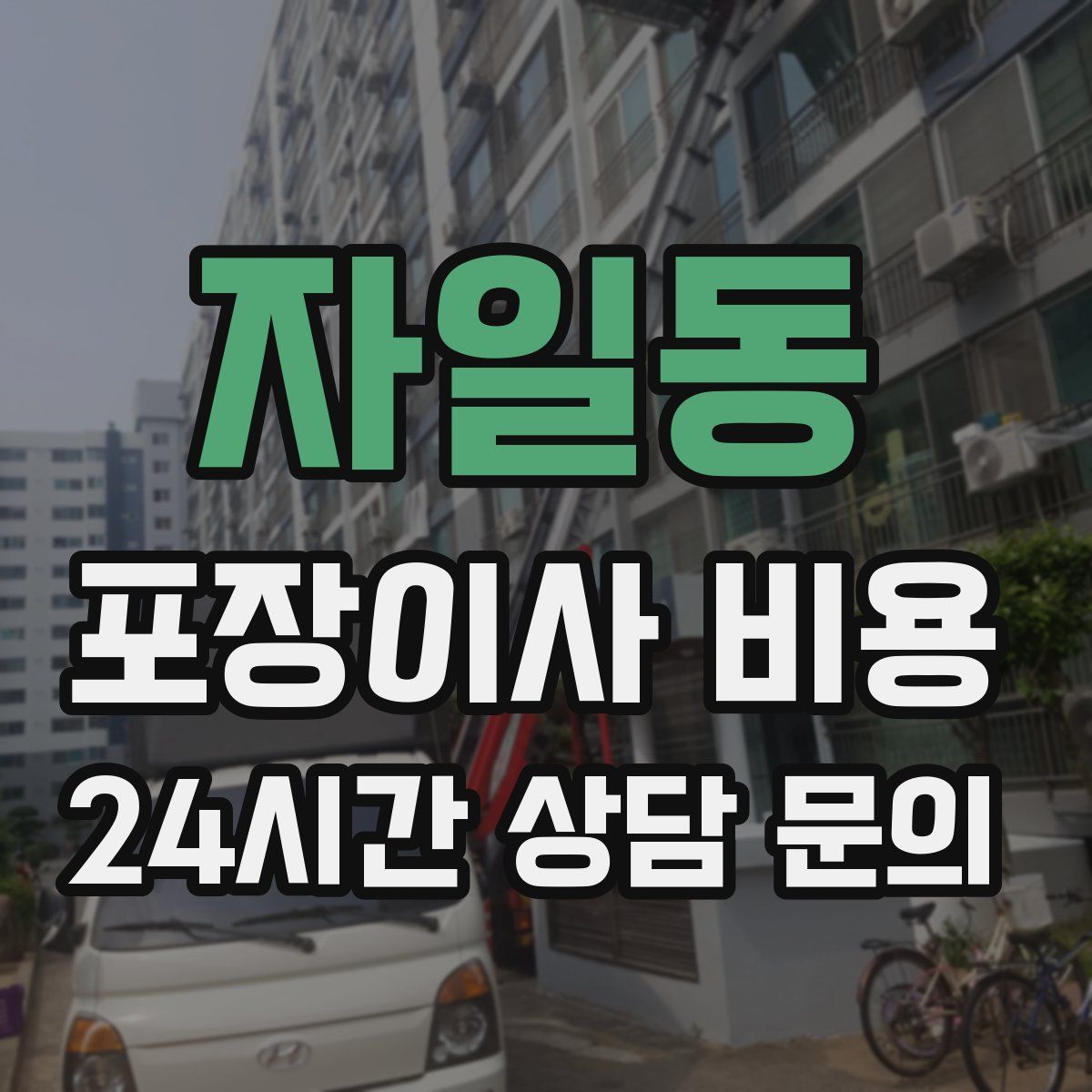 자일동 포장이사 비용