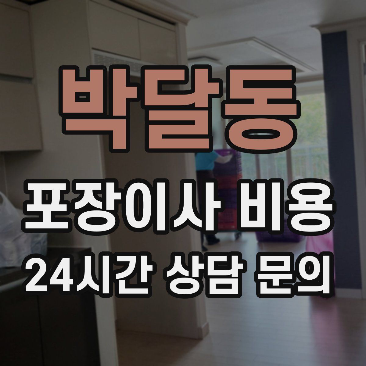 박달동 포장이사 비용