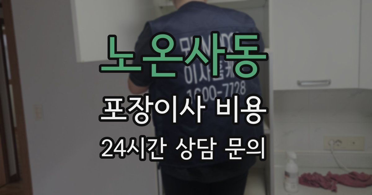 노온사동 포장이사 비용