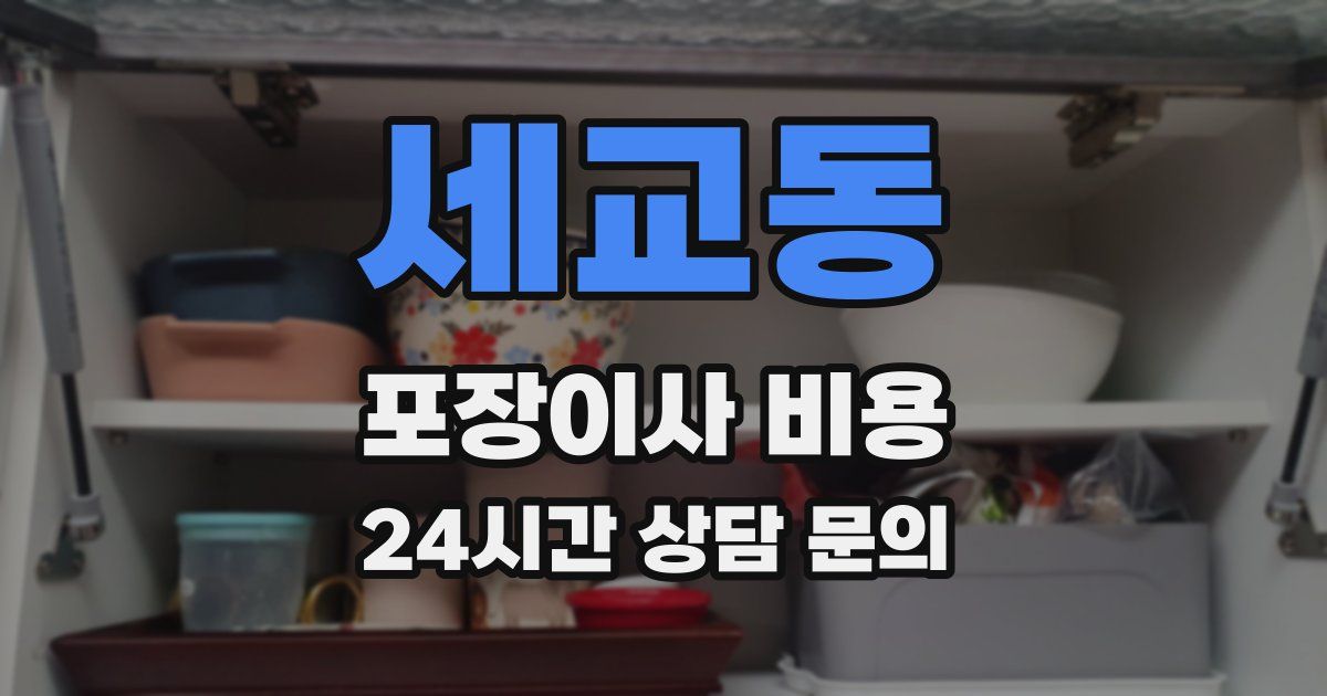 세교동 포장이사 비용