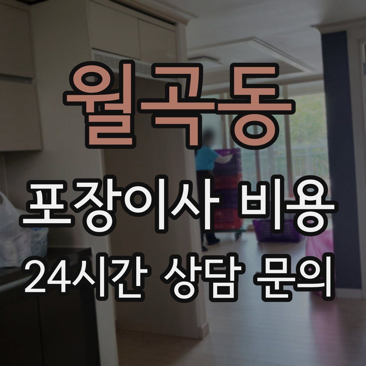 월곡동 포장이사 비용 어항·대형 화분이 있을 때 견적 포인트