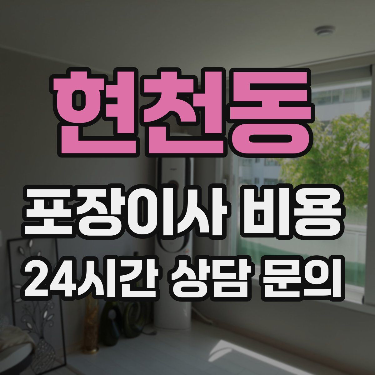 현천동 포장이사 비용