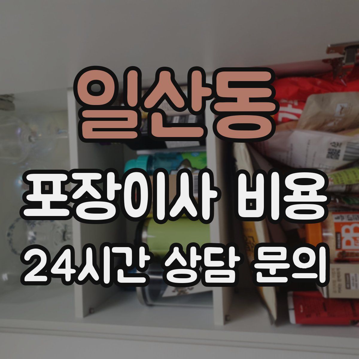 일산동 포장이사 비용