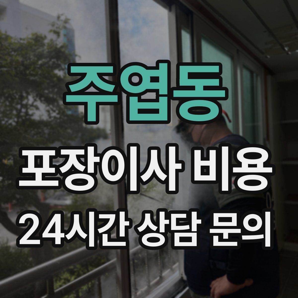 주엽동 포장이사 비용