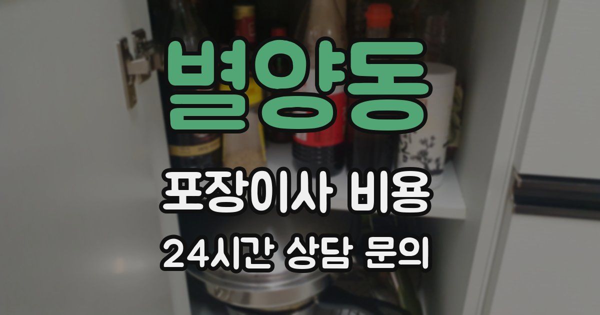 별양동 포장이사 비용