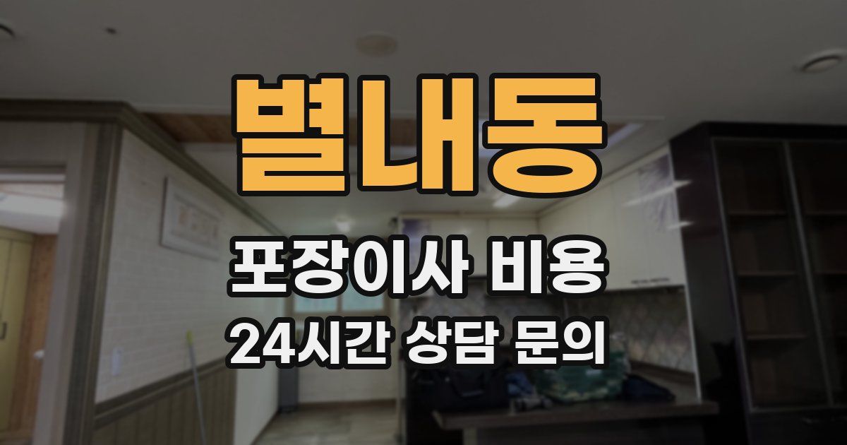 별내동 포장이사 비용