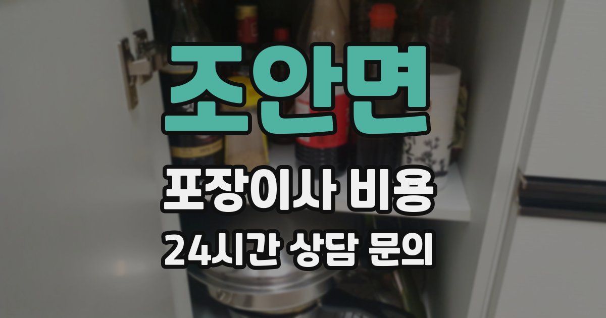 조안면 포장이사 비용