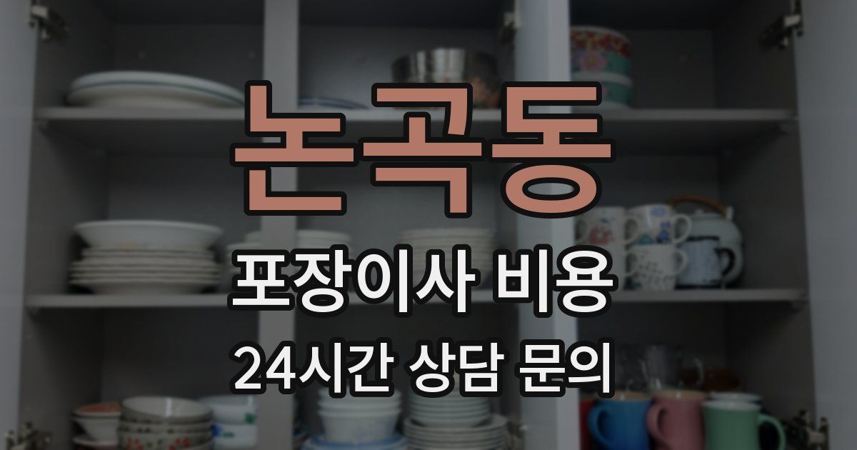 논곡동 포장이사 비용