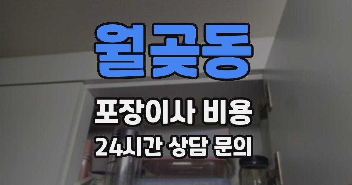 월곶동 포장이사 비용