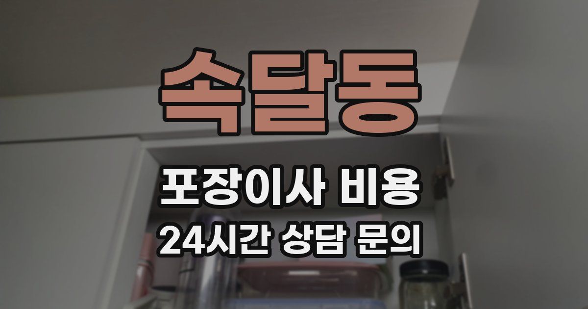 속달동 포장이사 비용