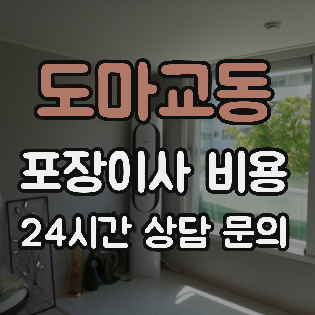 도마교동 포장이사 비용