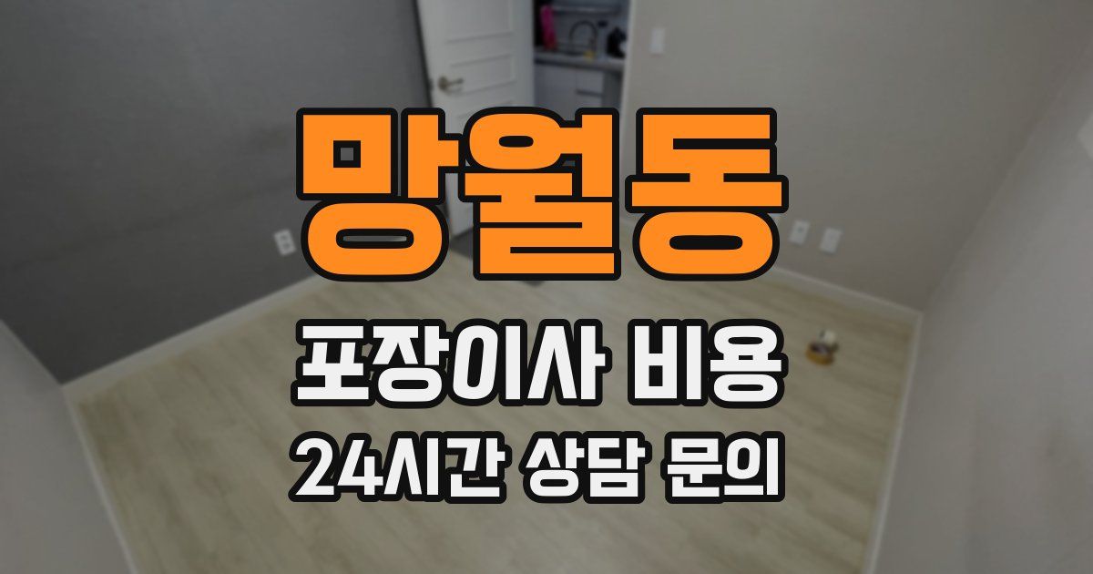 망월동 포장이사 비용