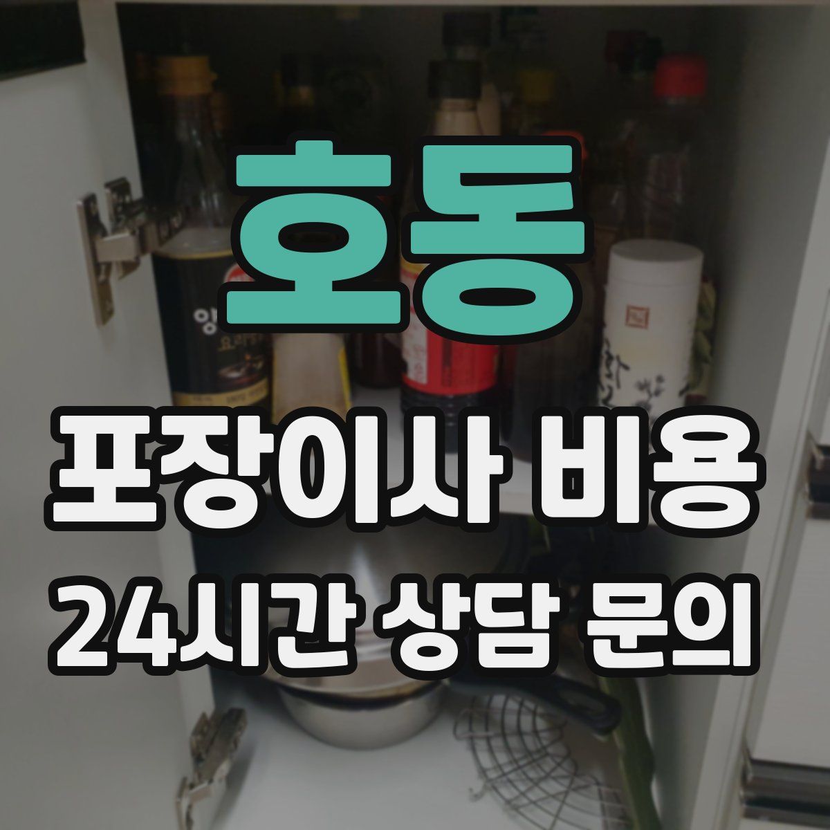 호동 포장이사 비용