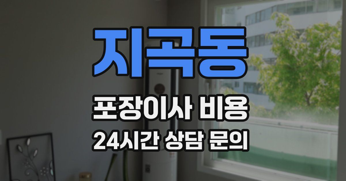 지곡동 포장이사 비용