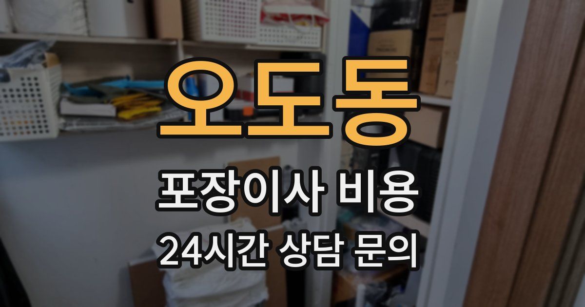 오도동 포장이사 비용
