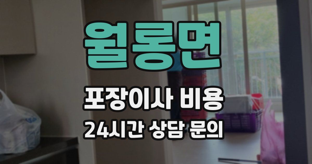 월롱면 포장이사 비용