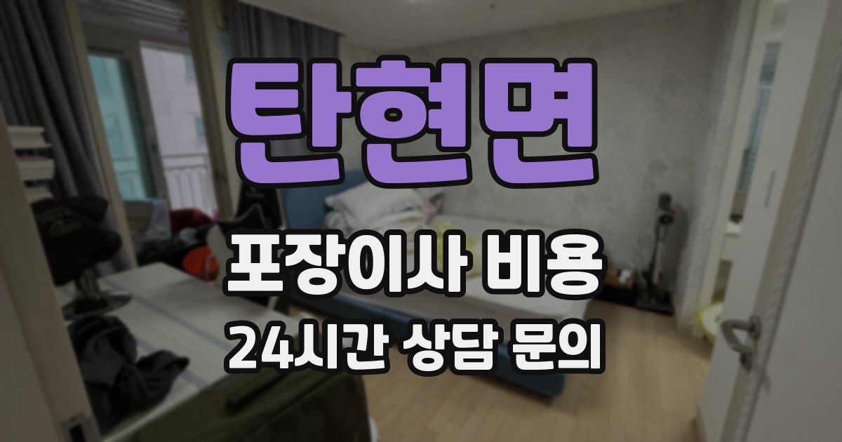 탄현면 포장이사 비용