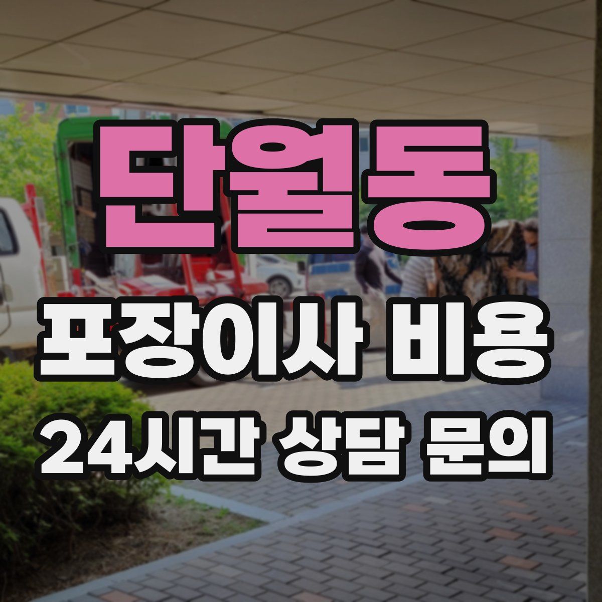 단월동 포장이사 비용