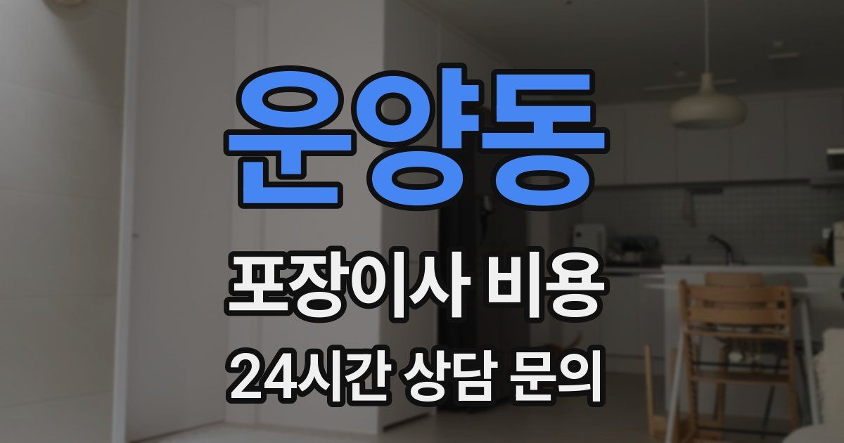 운양동 포장이사 비용