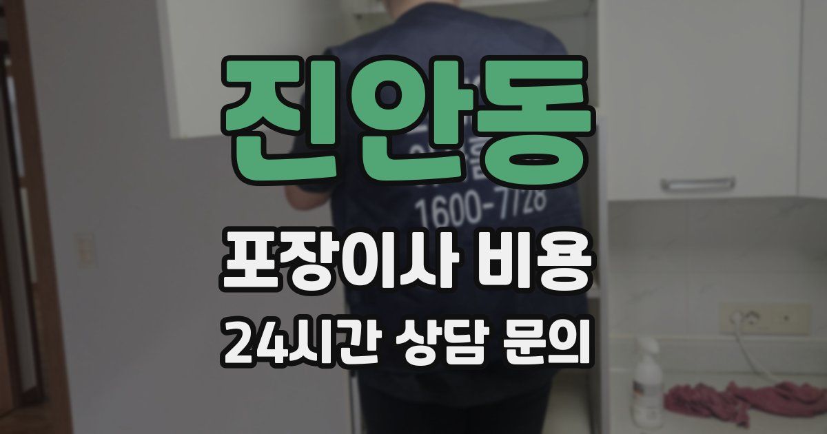 진안동 포장이사 비용