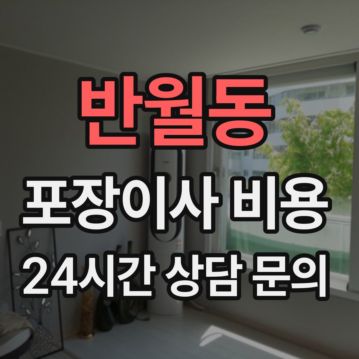 반월동 포장이사 비용