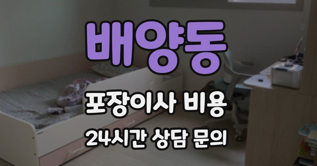 배양동 포장이사 비용