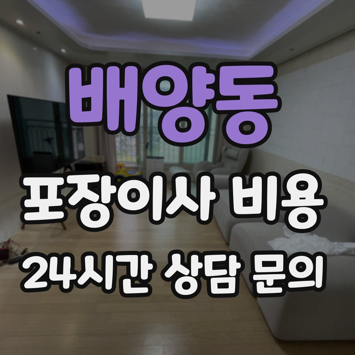 배양동 포장이사 비용