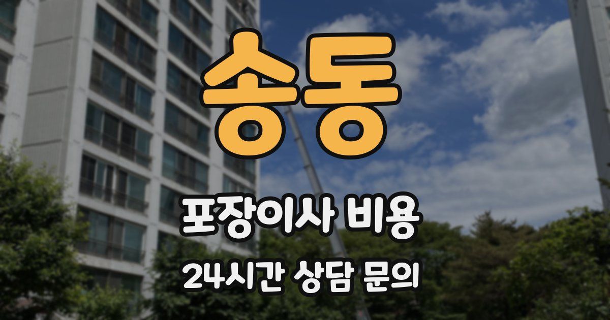 송동 포장이사 비용
