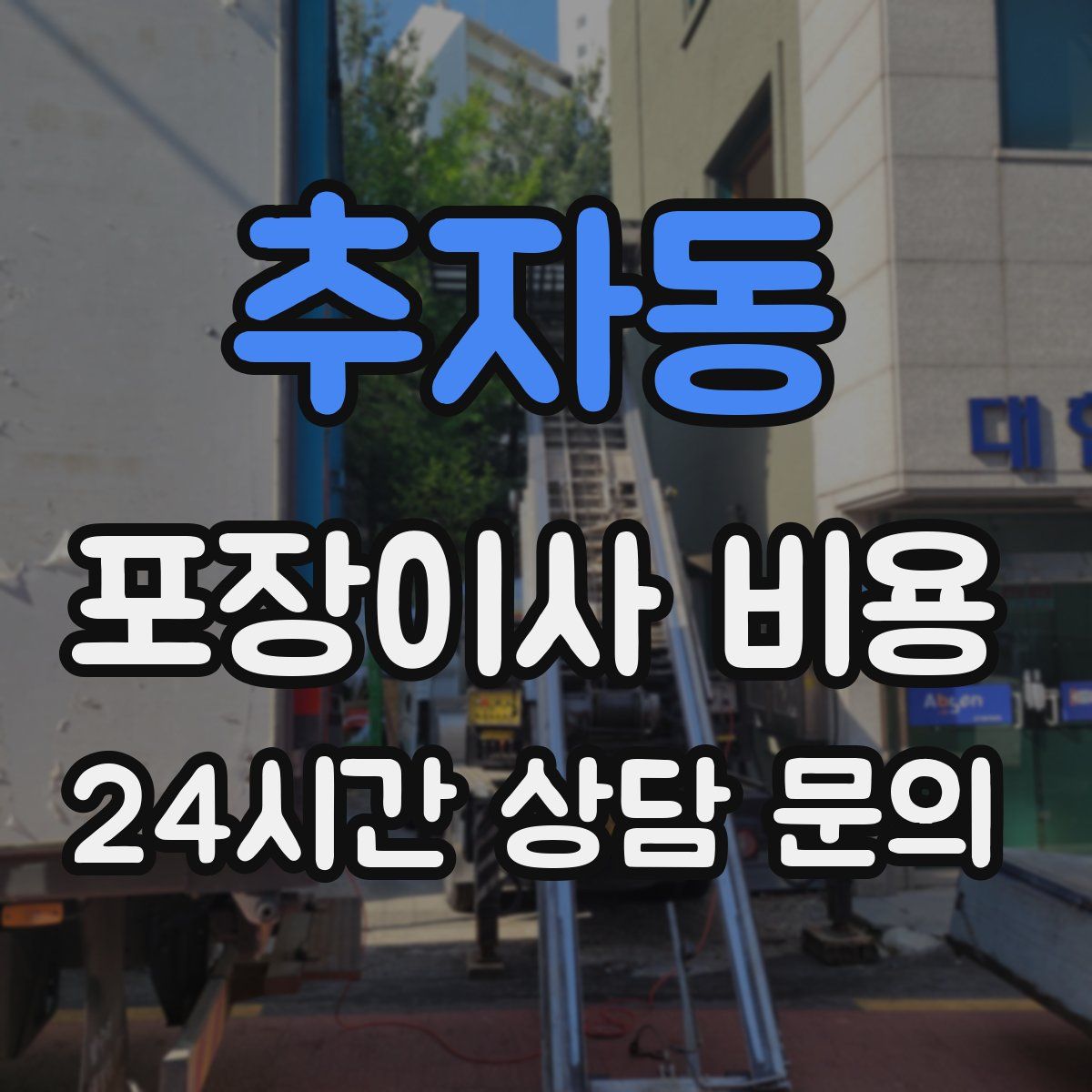 추자동 포장이사 비용
