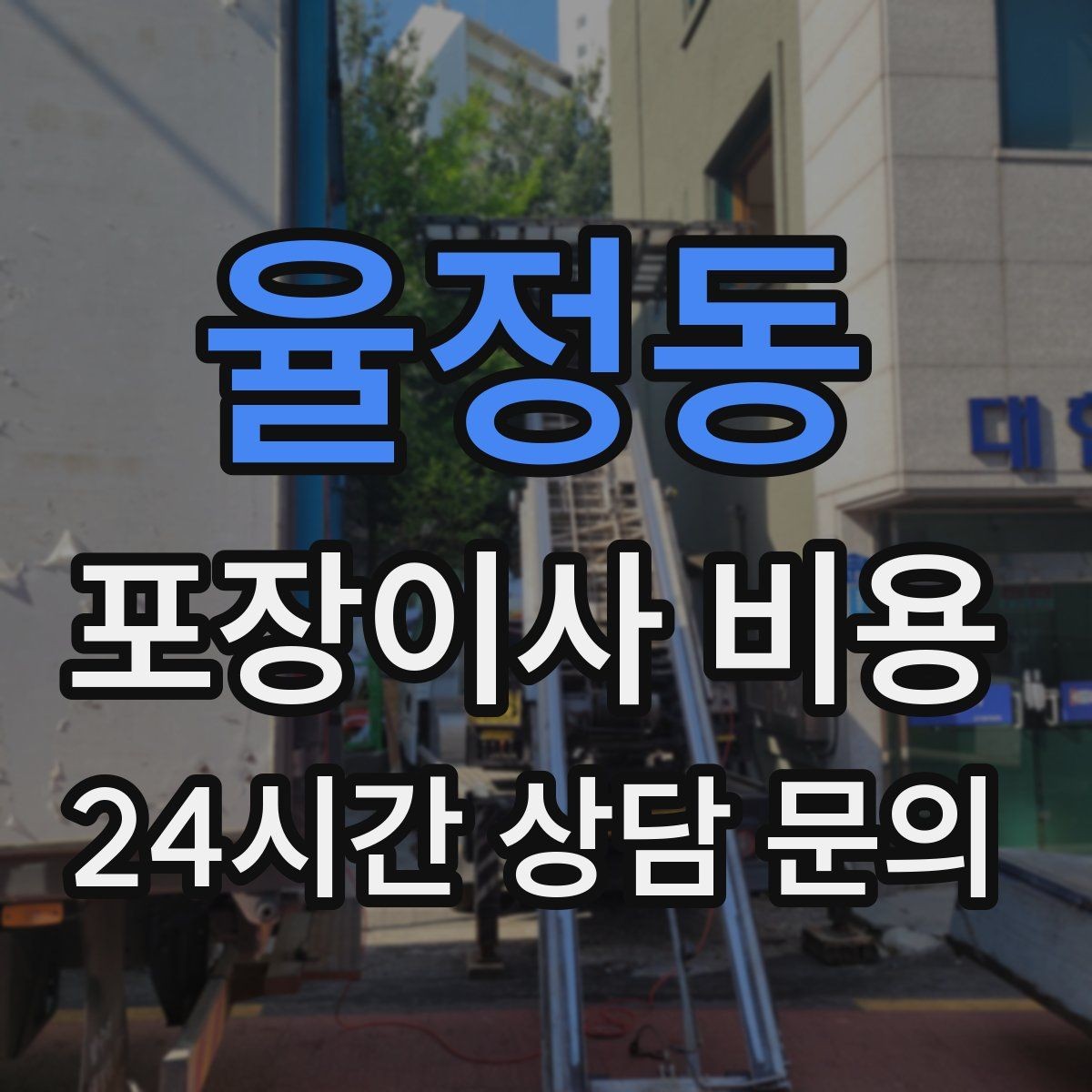 율정동 포장이사 비용 반려동물 이사 준비가 비용에 미치는 영향
