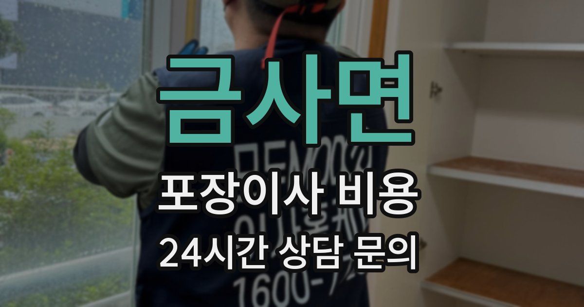 금사면 포장이사 비용